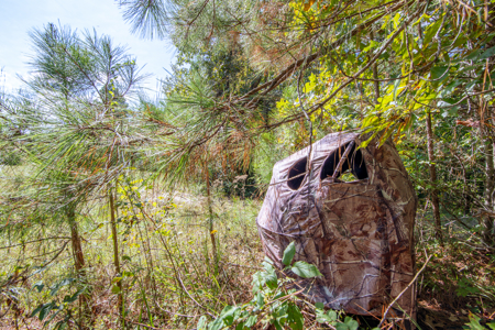 Hunting & Recreation Estate on 90+ Acres in Benton County, TN - image 18