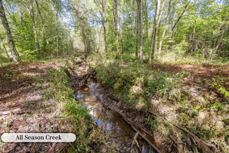 Hunting & Recreation Estate on 90+ Acres in Benton County, TN - image 5