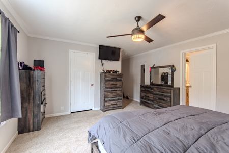 Hunting & Recreation Estate on 90+ Acres in Benton County, TN - image 32