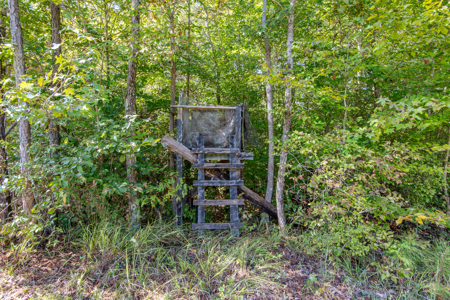 Hunting & Recreation Estate on 90+ Acres in Benton County, TN - image 19