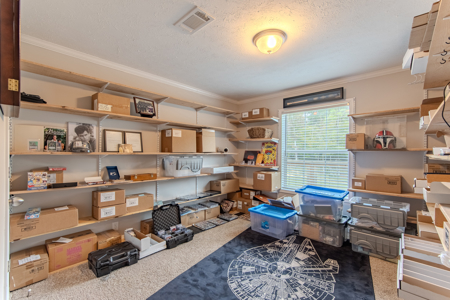 Hunting & Recreation Estate on 90+ Acres in Benton County, TN - image 38