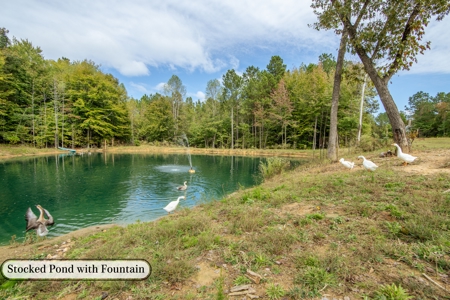 Hunting & Recreation Estate on 90+ Acres in Benton County, TN - image 11