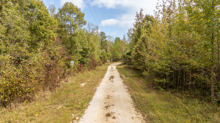 Hunting & Recreation Estate on 90+ Acres in Benton County, TN - image 21