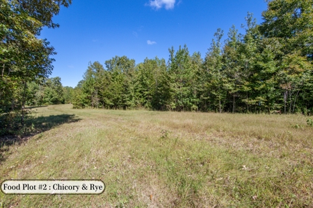 Hunting & Recreation Estate on 90+ Acres in Benton County, TN - image 3