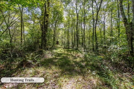 Hunting & Recreation Estate on 90+ Acres in Benton County, TN - image 20