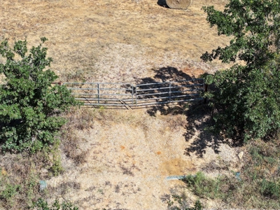 21+ Acres of Prime Fenced Pastureland in Rockdale, TX – AG Exempt - image 15