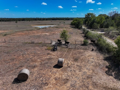21+ Acres of Prime Fenced Pastureland in Rockdale, TX – AG Exempt - image 10