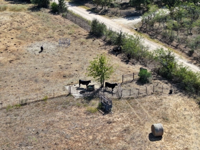 21+ Acres of Prime Fenced Pastureland in Rockdale, TX – AG Exempt - image 9