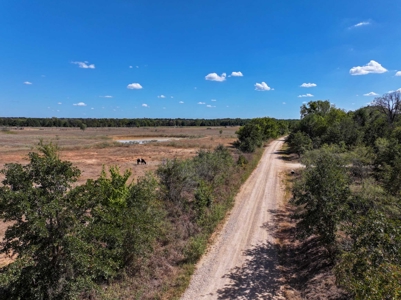 21+ Acres of Prime Fenced Pastureland in Rockdale, TX – AG Exempt - image 4