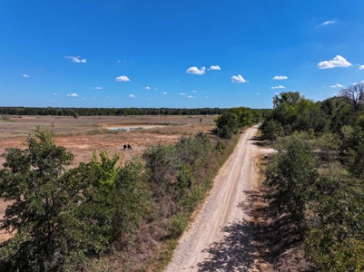 21+ Acres of Prime Fenced Pastureland in Rockdale, TX – AG Exempt - image 3