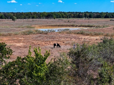 21+ Acres of Prime Fenced Pastureland in Rockdale, TX – AG Exempt - image 11