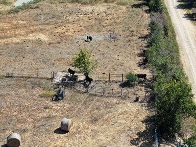 21+ Acres of Prime Fenced Pastureland in Rockdale, TX – AG Exempt - image 7