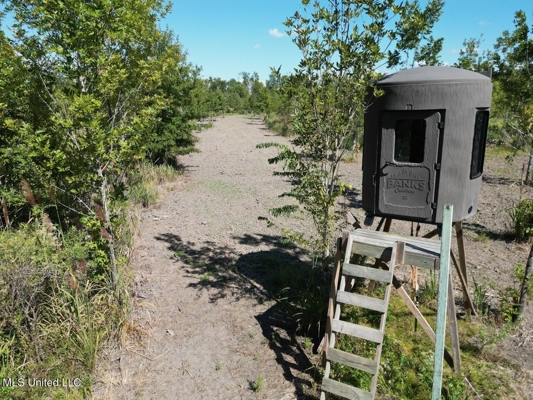 Tensas Parish Land Near Lake St. John - 80 Acres