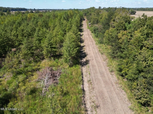 Tensas Parish Land Near Lake St. John - 80 Acres