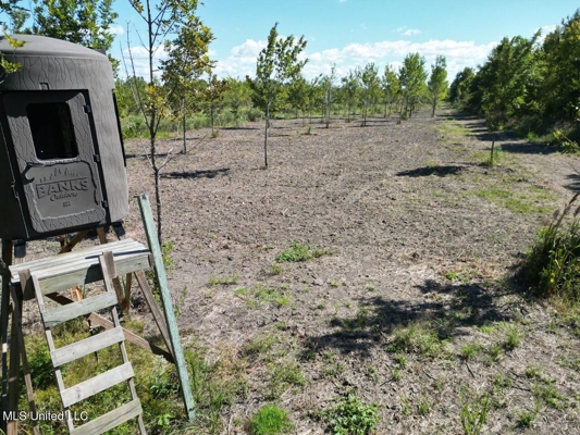Tensas Parish Land Near Lake St. John - 80 Acres