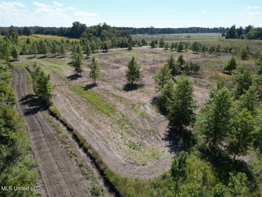 Tensas Parish Land Near Lake St. John - 80 Acres