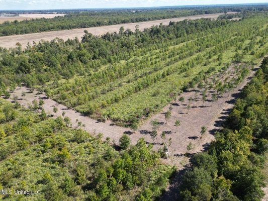 Tensas Parish Land Near Lake St. John - 80 Acres