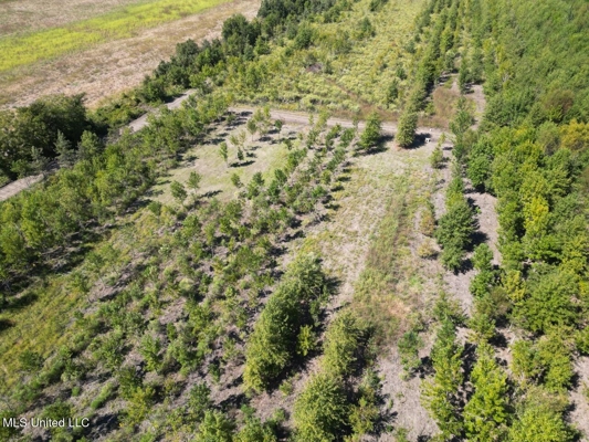 Tensas Parish Land Near Lake St. John - 80 Acres