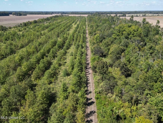 Tensas Parish Land Near Lake St. John - 80 Acres