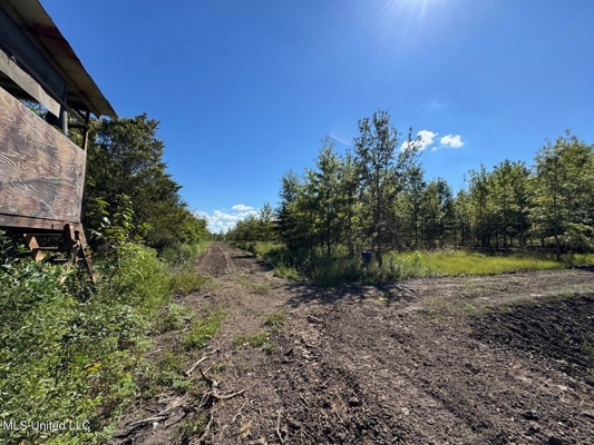 Tensas Parish Land Near Lake St. John - 80 Acres