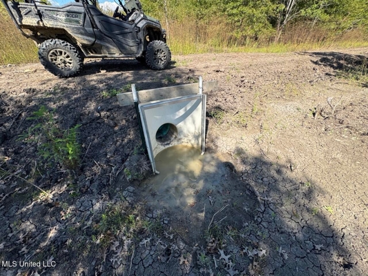 Tensas Parish Land Near Lake St. John - 80 Acres