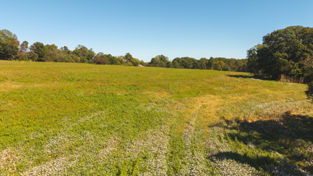 Acreage for sale Yadkin County NC/Land for sale Hamptonville NC! - image 11