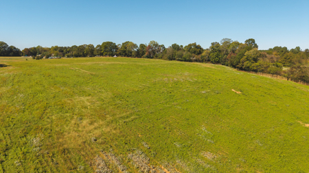 Acreage for sale Yadkin County NC/Land for sale Hamptonville NC! - image 5