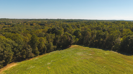 Acreage for sale Yadkin County NC/Land for sale Hamptonville NC! - image 2
