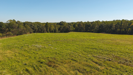 Acreage for sale Yadkin County NC/Land for sale Hamptonville NC! - image 1