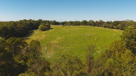 Acreage for sale Yadkin County NC/Land for sale Hamptonville NC! - image 20