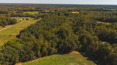 Acreage for sale Yadkin County NC/Land for sale Hamptonville NC! - image 3