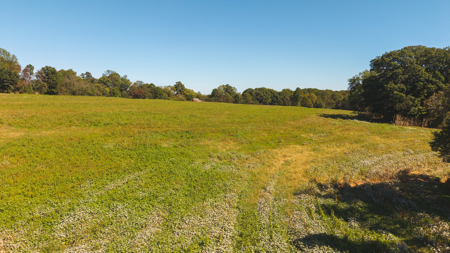 Acreage for sale Yadkin County NC/Land for sale Hamptonville NC! - image 10