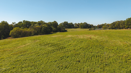 Acreage for sale Yadkin County NC/Land for sale Hamptonville NC! - image 22
