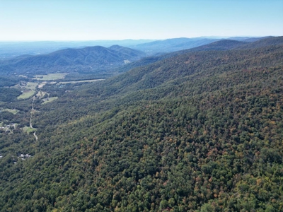 Shenandoah's Edge: 58 Acres of Wild Virginia History - image 18