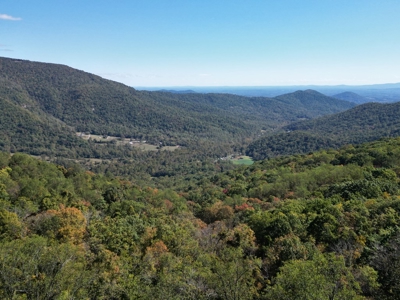 Shenandoah's Edge: 58 Acres of Wild Virginia History - image 6