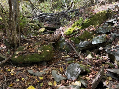 Shenandoah's Edge: 58 Acres of Wild Virginia History - image 12
