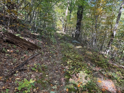 Shenandoah's Edge: 58 Acres of Wild Virginia History - image 11