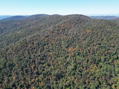 Shenandoah's Edge: 58 Acres of Wild Virginia History - image 19