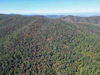 Shenandoah's Edge: 58 Acres of Wild Virginia History - image 17