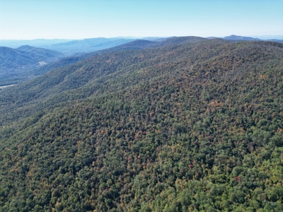 Shenandoah's Edge: 58 Acres of Wild Virginia History - image 4