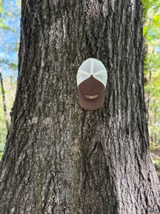 Shenandoah's Edge: 58 Acres of Wild Virginia History - image 9