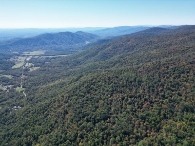 Shenandoah's Edge: 58 Acres of Wild Virginia History - image 3