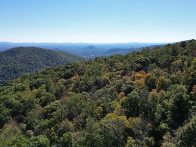 Shenandoah's Edge: 58 Acres of Wild Virginia History - image 21