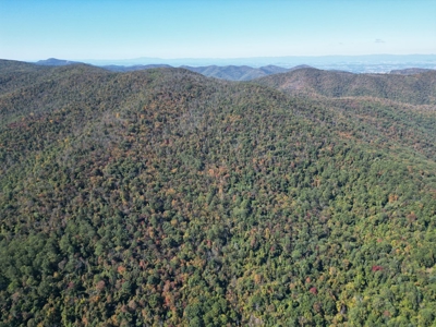 Shenandoah's Edge: 58 Acres of Wild Virginia History - image 2