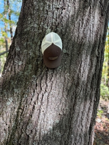 Shenandoah's Edge: 58 Acres of Wild Virginia History - image 8