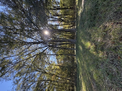 Peaceful 43± Acre Retreat Near Paris, TX - image 39