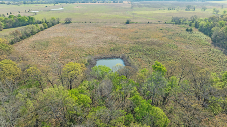 Peaceful 43± Acre Retreat Near Paris, TX - image 14