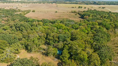 Peaceful 43± Acre Retreat Near Paris, TX - image 11
