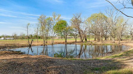 Peaceful 43± Acre Retreat Near Paris, TX - image 11