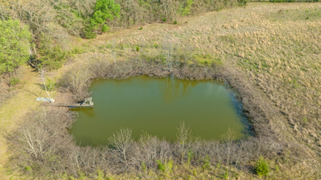 Peaceful 43± Acre Retreat Near Paris, TX - image 15